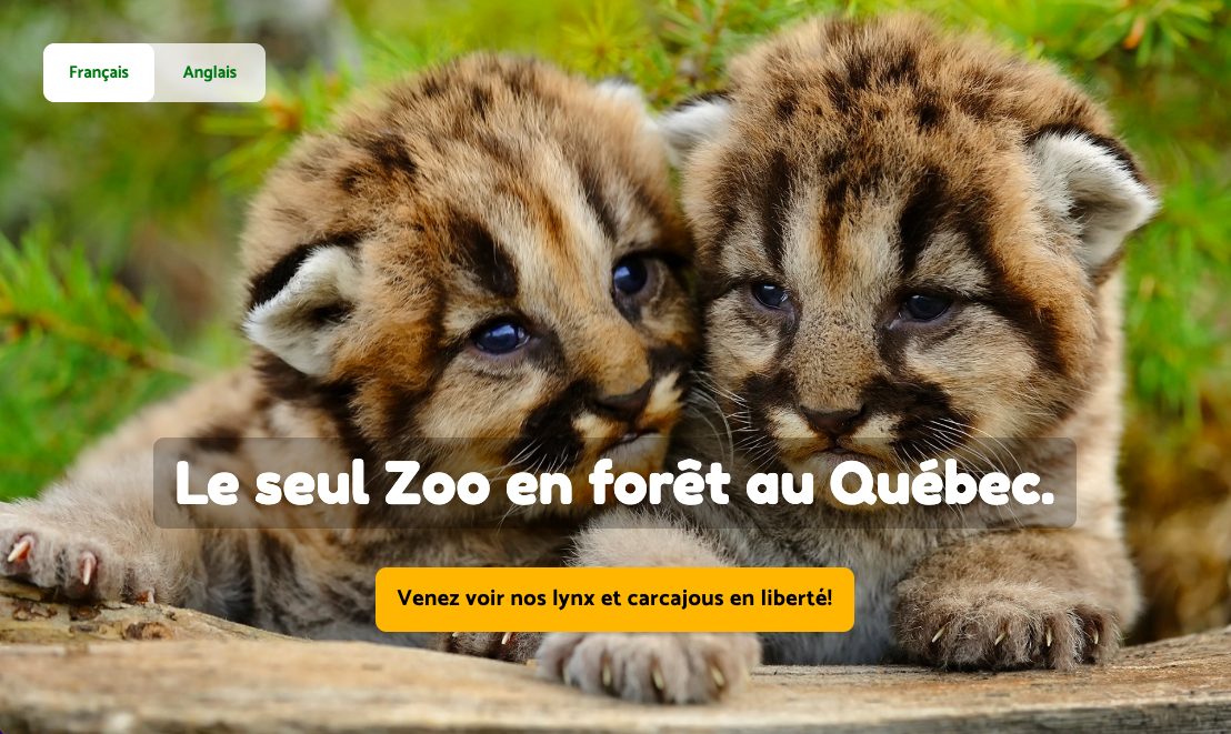 portfolio, site du zoo de Val-Jalbert